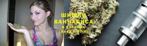 ПСИЛОЦИБИНОВЫЕ ГРИБЫ Няндома