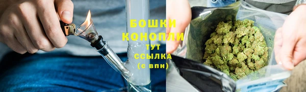 мдпв Нягань