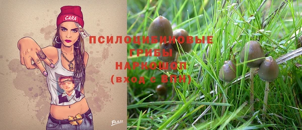 ПСИЛОЦИБИНОВЫЕ ГРИБЫ Няндома