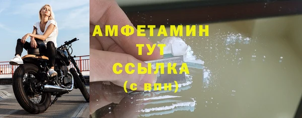 ПСИЛОЦИБИНОВЫЕ ГРИБЫ Няндома