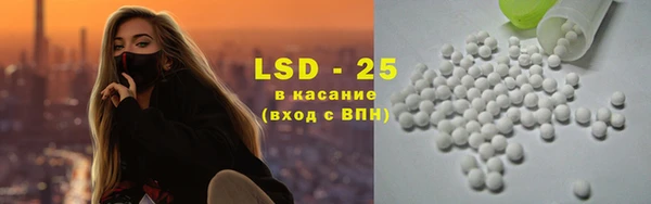 ПСИЛОЦИБИНОВЫЕ ГРИБЫ Няндома
