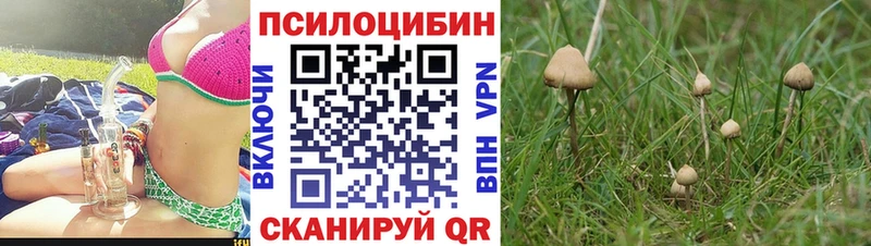 хочу   Углегорск  Псилоцибиновые грибы MAGIC MUSHROOMS 